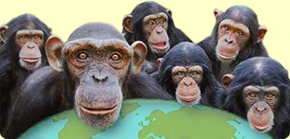 monkeys